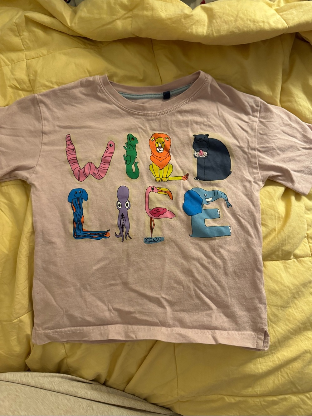 Mini Boden t-shirt size 2/3